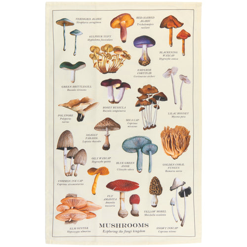 100% Cotton Mushroom Dishtowel