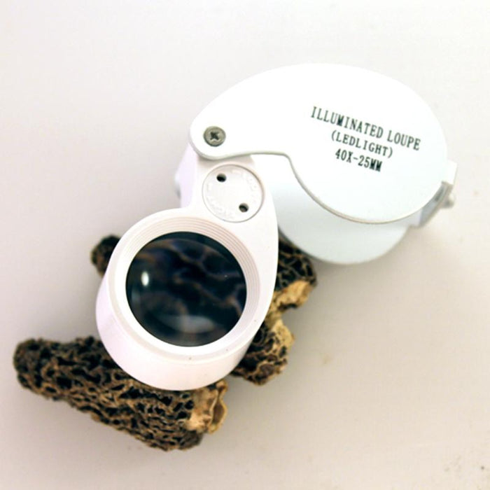 40X LED Magnifier for Mushroom Foraging