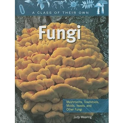 A class of their own: Fungi