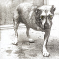 Alice In Chains (Colored Vinyl, Anniversary Edition, Reissue)