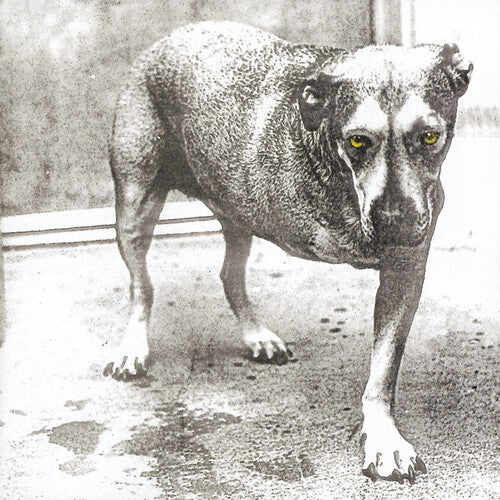Alice In Chains (Colored Vinyl, Anniversary Edition, Reissue)