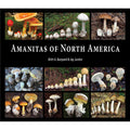 Amanitas of North America