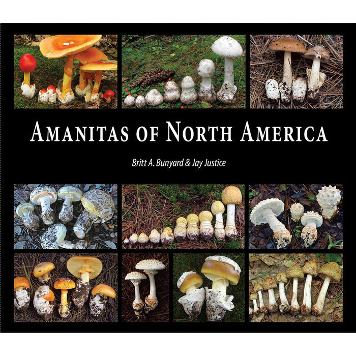 Amanitas of North America