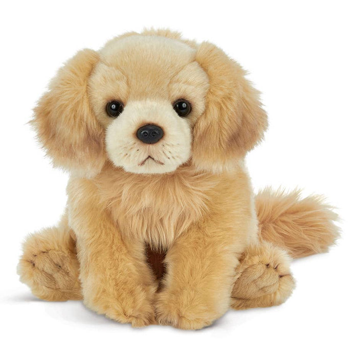 Goldie the Golden Retriever