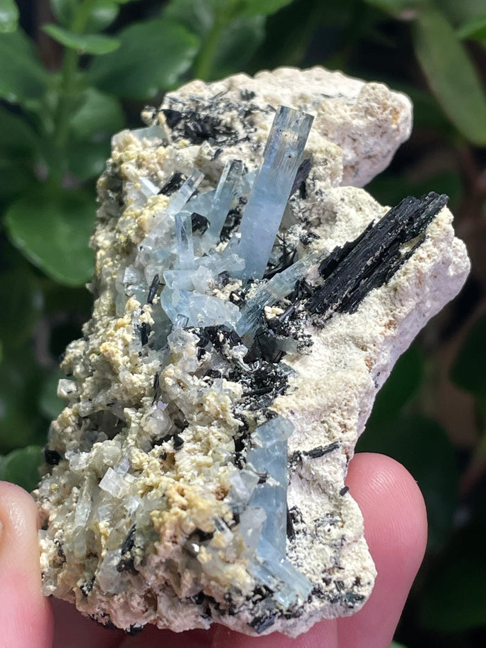 Aquamarine Specimen on Feldspar with Black Tourmaline, from Erongo Mountain, Erongo Region, Namibia
