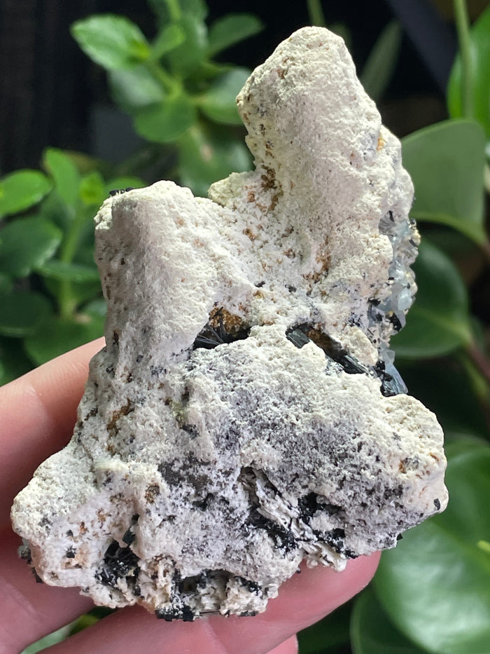 Aquamarine Specimen on Feldspar with Black Tourmaline, from Erongo Mountain, Erongo Region, Namibia