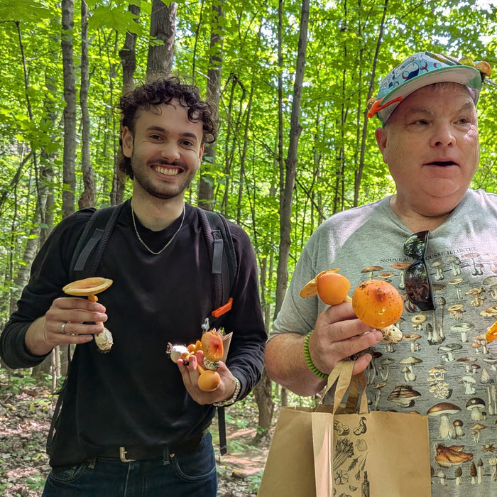 August 2, 2026 - MAURICIE - Mushroom-Hunting Excursion