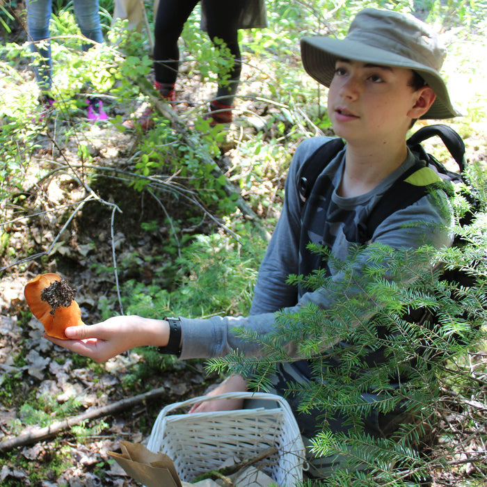 August 22, 2026 - MONTÉRÉGIE - Mushroom-Hunting Excursion