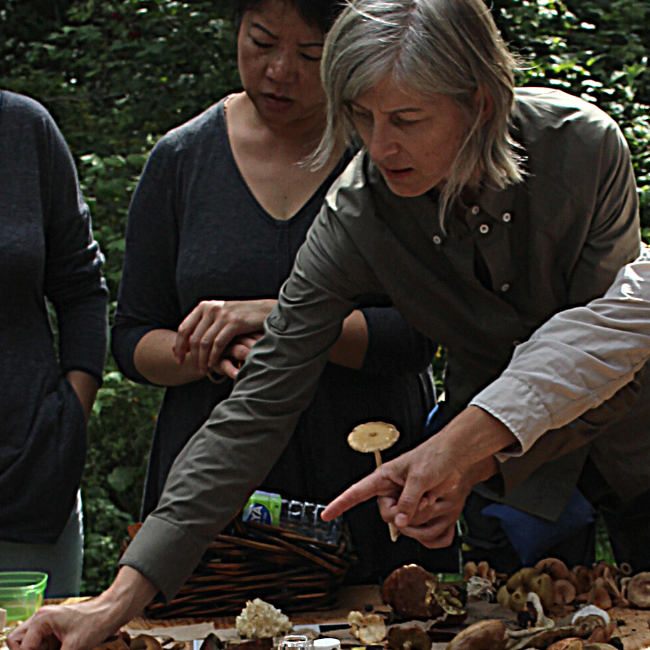 August 22, 2026 - MONTÉRÉGIE - Mushroom-Hunting Excursion