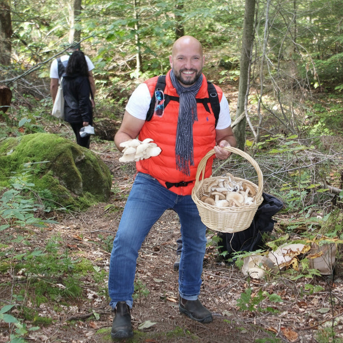August 23, 2026 - LANAUDIÈRE - Mushroom-Hunting Excursion