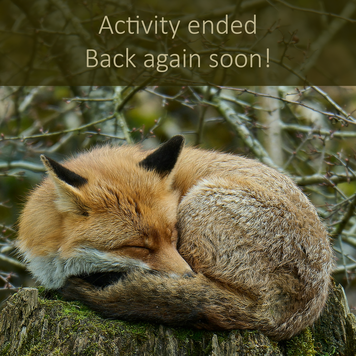 August 9, 2026 - EASTERN TOWNSHIPS - Mushroom-Hunting Excursion