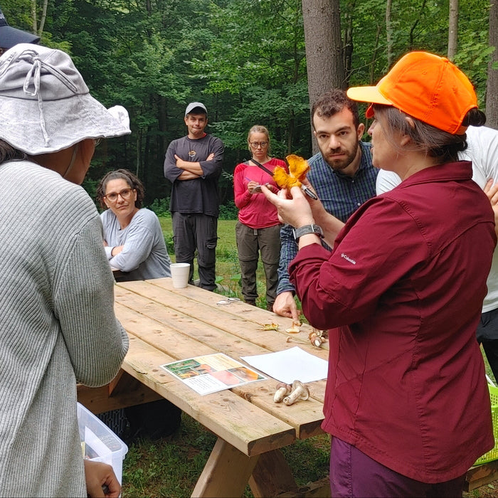 August 9, 2026 - EASTERN TOWNSHIPS - Mushroom-Hunting Excursion