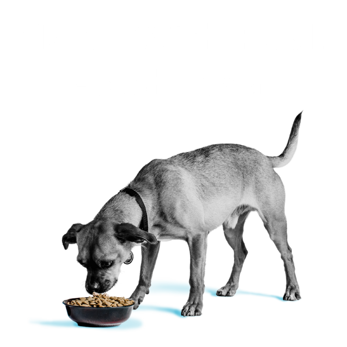 Bixbi Pet Liberty® Dry Food for Dogs – Fisherman’s Catch