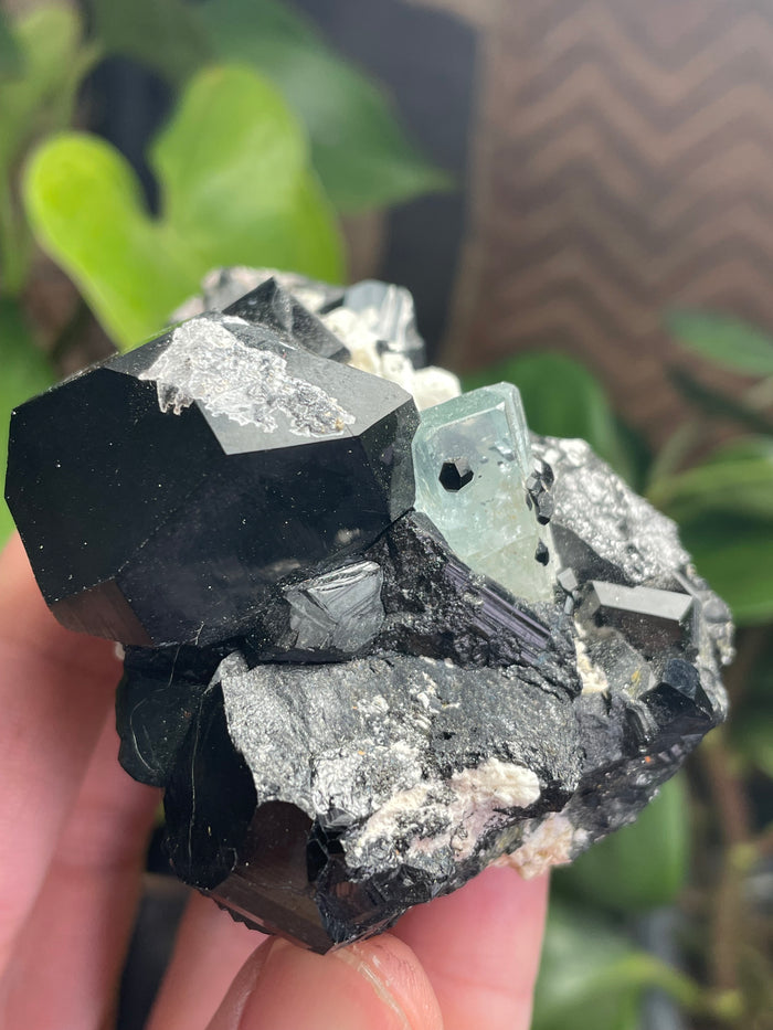 Black Tourmaline Specimen with Aquamarine and Hyalite Opal from Erongo Mountain, Erongo Region, Namibia