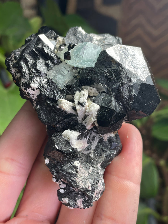 Black Tourmaline Specimen with Aquamarine and Hyalite Opal from Erongo Mountain, Erongo Region, Namibia