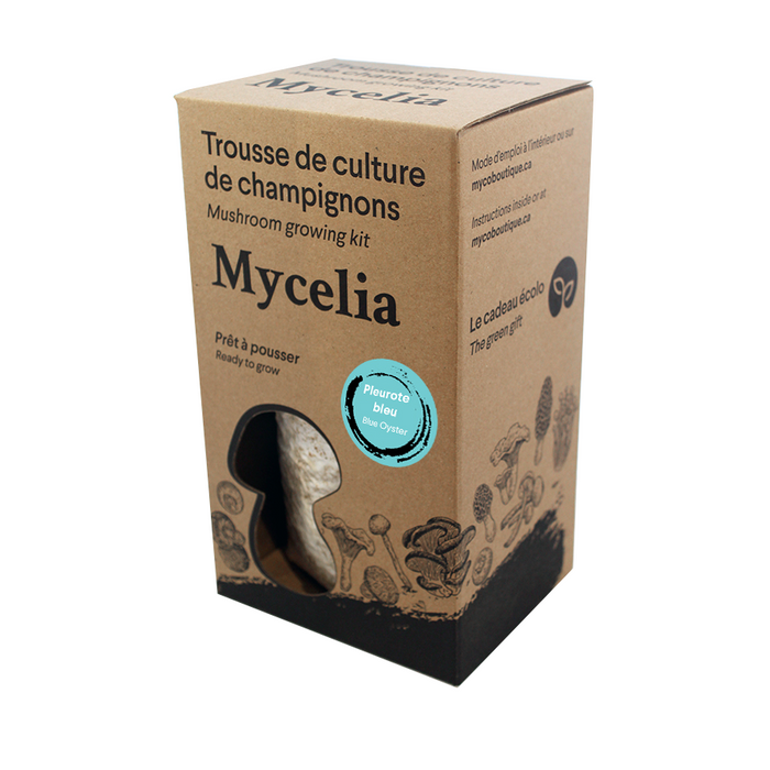 Blue Oyster Mushroom Grow Kit