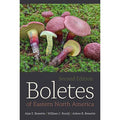 Boletes of Eastern North America