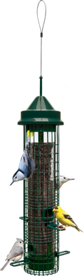 Brome Bird Care Squirrel Buster Classic