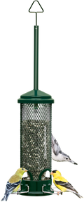 Brome Bird Care Squirrel Buster Mini™