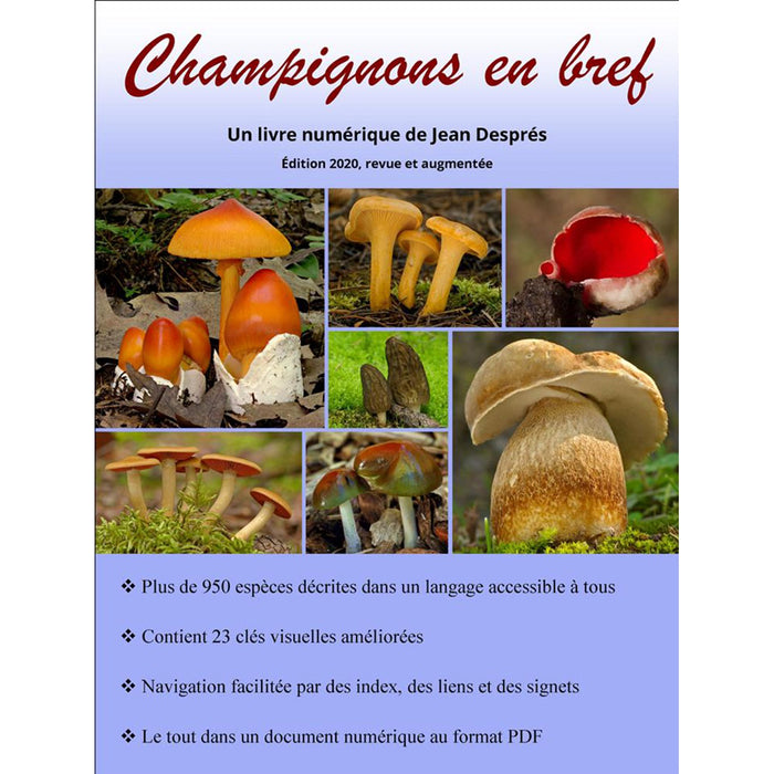 Champignons en bref - ebook