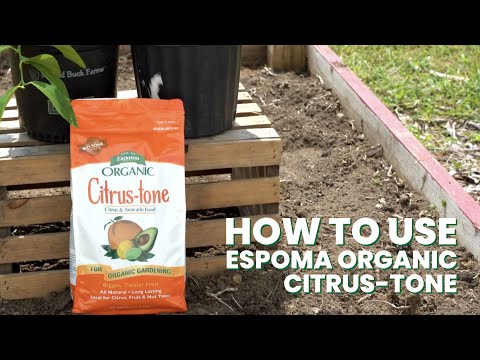 Citrus-tone 5-2-6