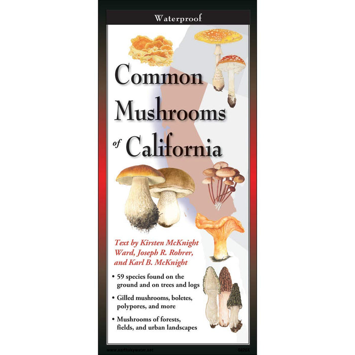 Common Mushrooms of California