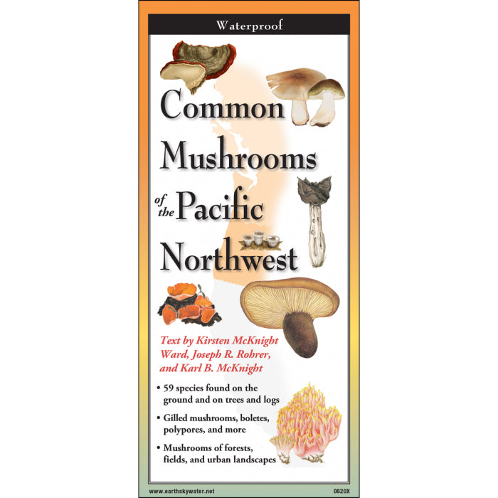 Common Mushrooms of the Pacific Northwest