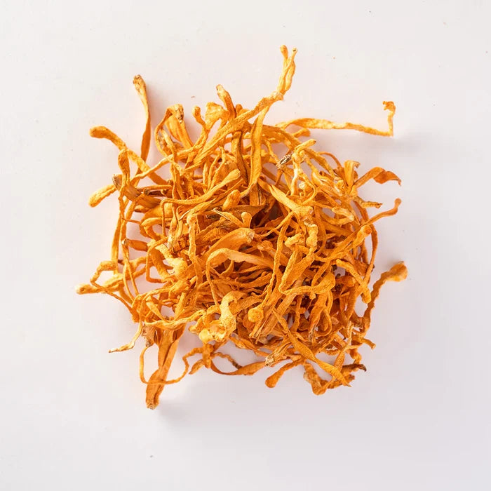 Cordyceps - Liquid Mycelium Syringe