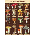 Dark Foraging Poster/Wrapping Paper