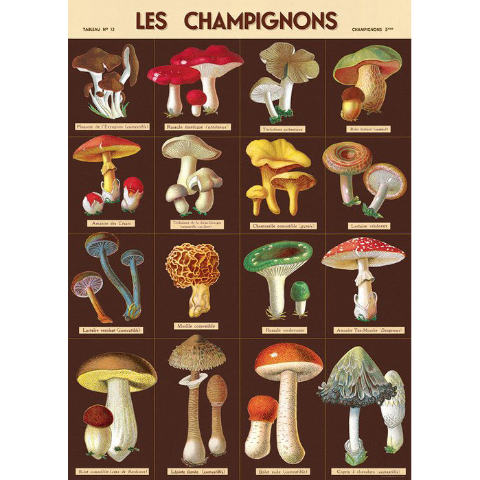 Dark Foraging Poster/Wrapping Paper