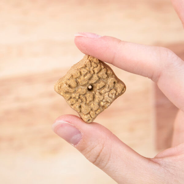 Earthborn Holistic EarthBars Minis Turkey & Barley & Pumpkin Dog Treats