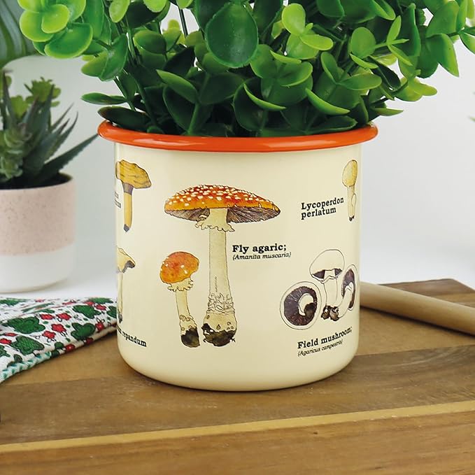 Enamel Plant Pot