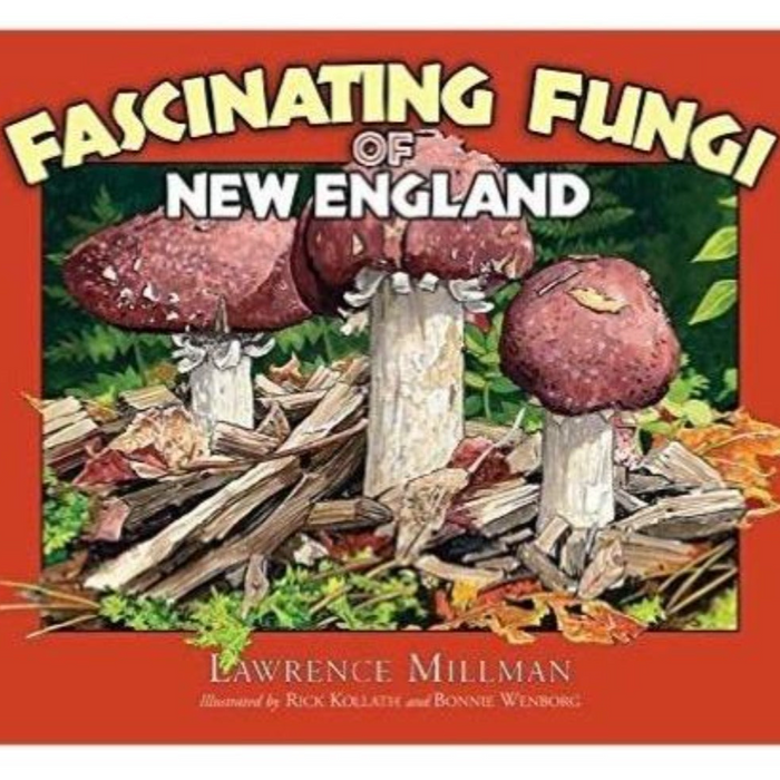 Fascinating Fungi of New England