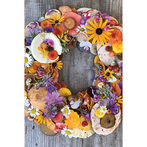 Flowers & Fungi Note Card Set