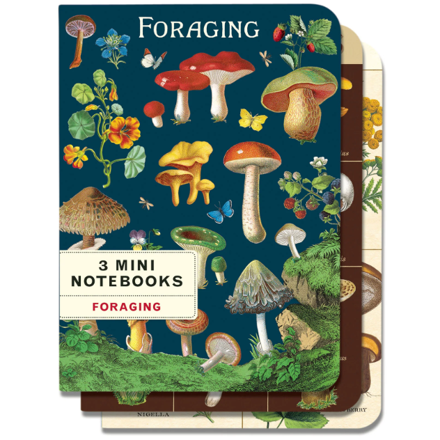 Foraging 3 Mini Notebooks Set