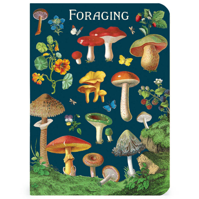 Foraging 3 Mini Notebooks Set
