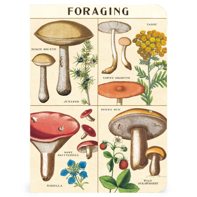 Foraging 3 Mini Notebooks Set