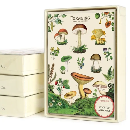 Foraging Notecards