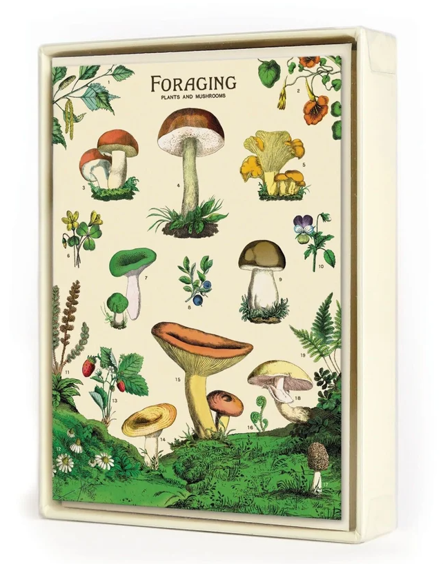 Foraging Notecards