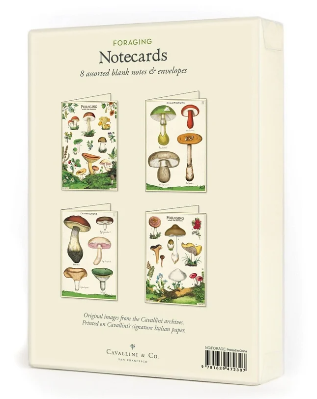 Foraging Notecards