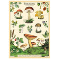 Foraging Poster/Wrapping Paper