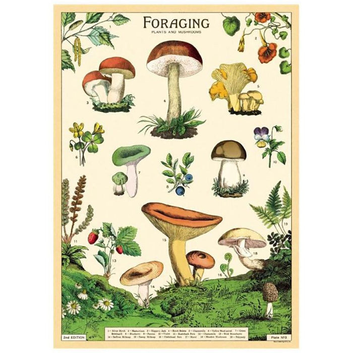 Foraging Poster/Wrapping Paper
