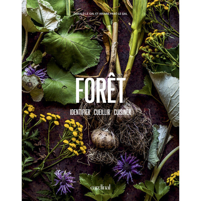 FORÊT - Identifier, cueillir, cuisiner