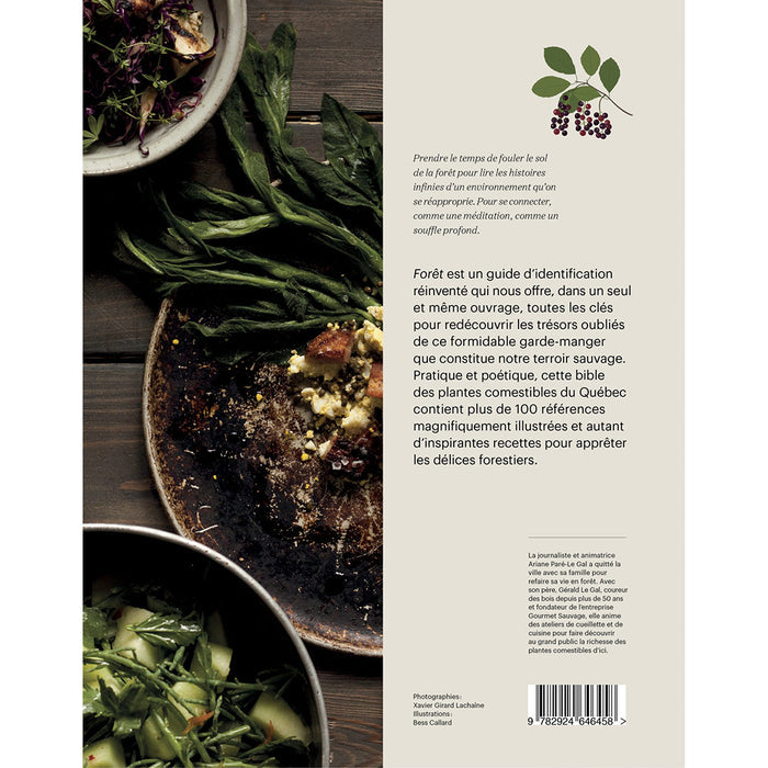 FORÊT - Identifier, cueillir, cuisiner