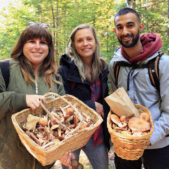 Gift Card - Mushroom-Hunting Excursion