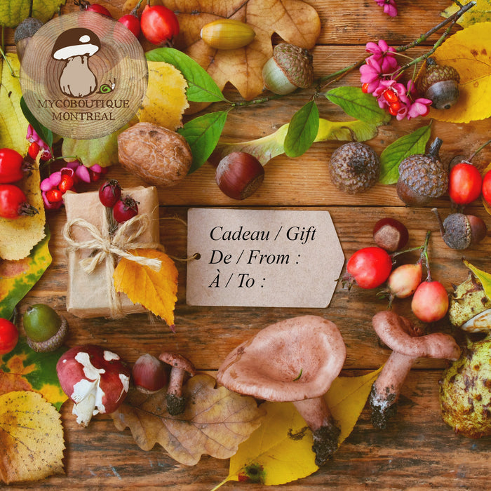 Gift Card - Mycoboutique