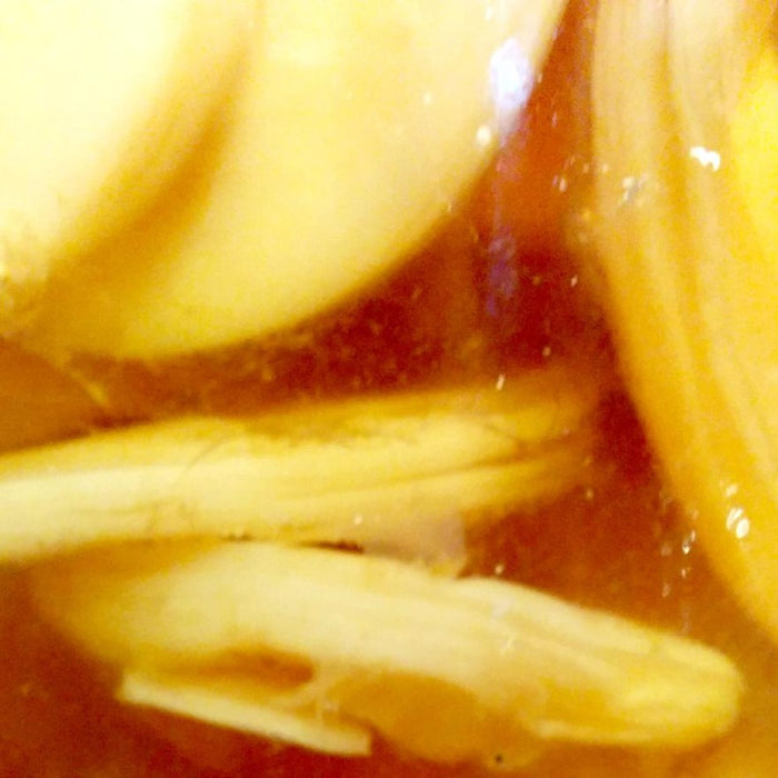 Kombucha Scoby
