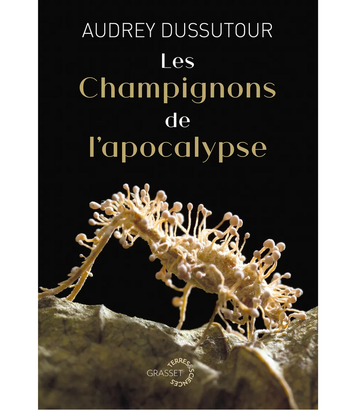 Les champignons de l’apocalypse