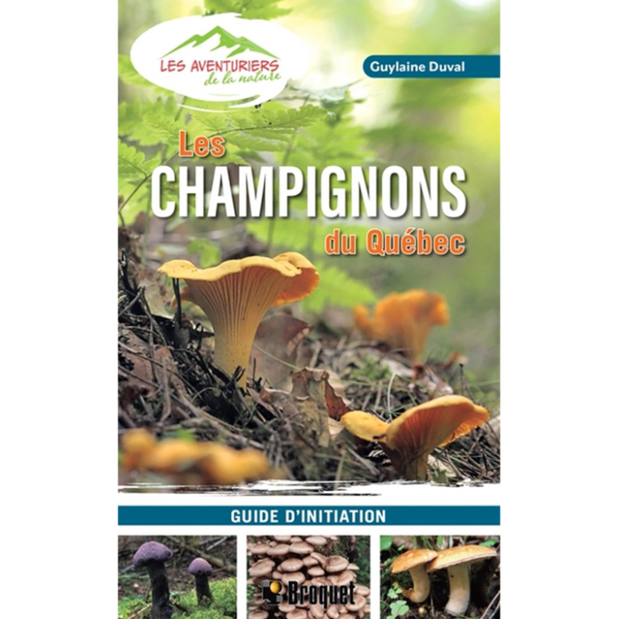 Les champignons du Québec