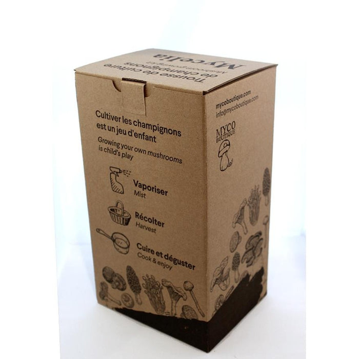 Lion's Mane Grow Kit